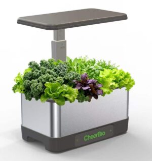 Mini Desktop Garden — 16 Holes
